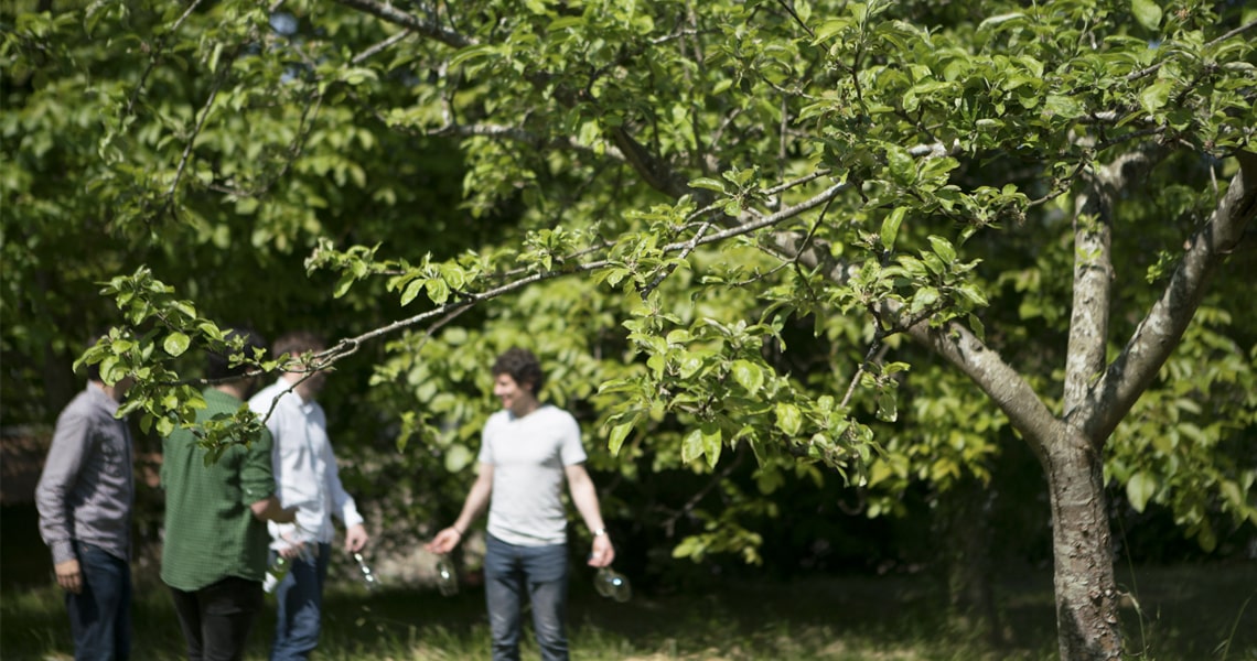 Visit a Basque Cider House