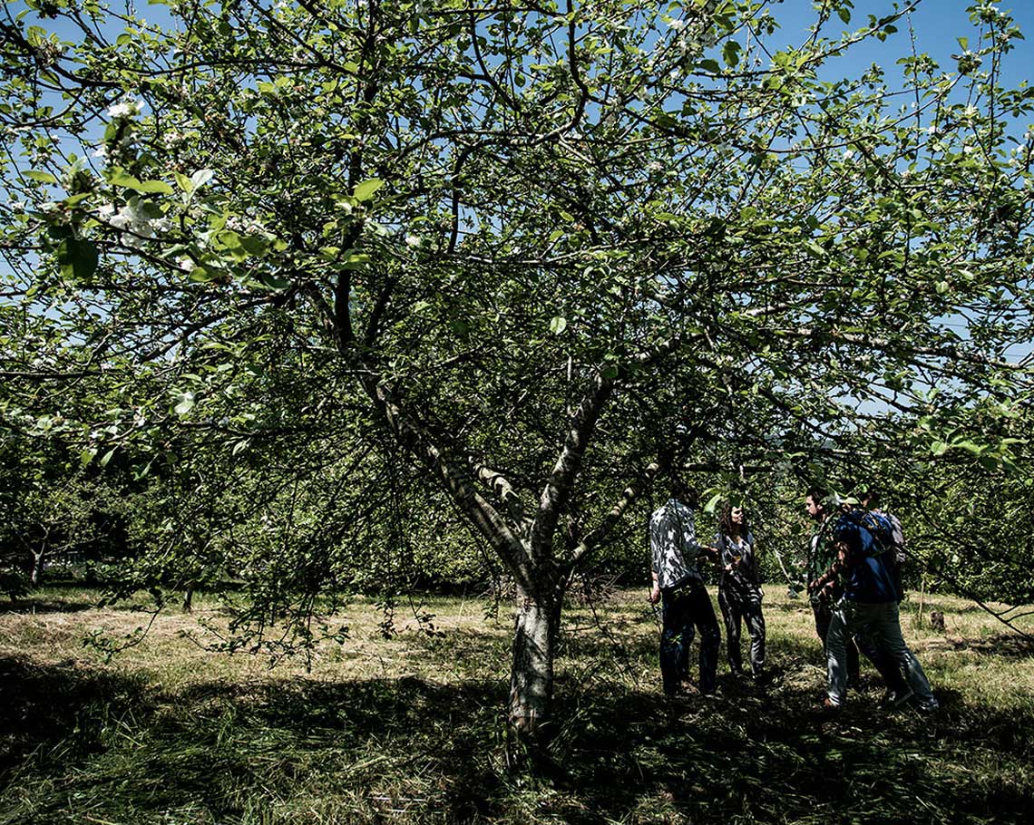 Tours cider house